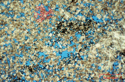 Dolomite Thin-Section_Lucia